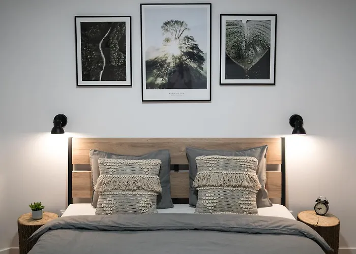 Krynickie * クリニツァ・ズドルイ